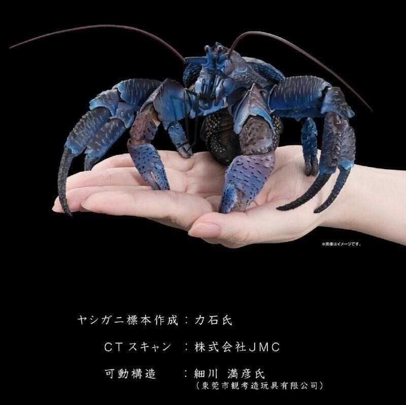 萬代 魂商店 生物大圖鑑 Premium 椰子蟹 10月預購代理0725W