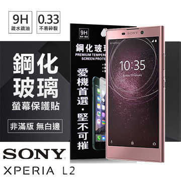【愛瘋潮】Sony Xperia L2 超強防爆鋼化玻璃保護貼 (非滿版)