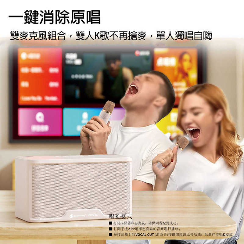 KooPin NR-8088 雙人對唱行動KTV/藍牙喇叭無線麥克風組 卡拉OK 【愛瘋潮】