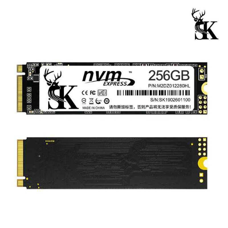 保固三年 固態硬碟 SK M.2 2280 NVMe SSD 固態硬碟-256GB【愛瘋潮】