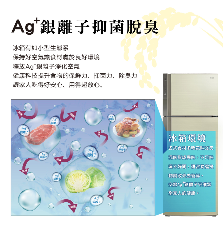 【HERAN 禾聯】485L一級能效穗香金系列變頻雙門電冰箱 HRE-B4823V