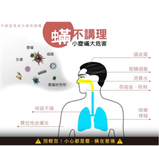 【HERAN禾聯】旋風紫外線除螨機HDM-300D1 灰塵 過敏 過濾淨化器 紫外線殺菌 除塵蟎機