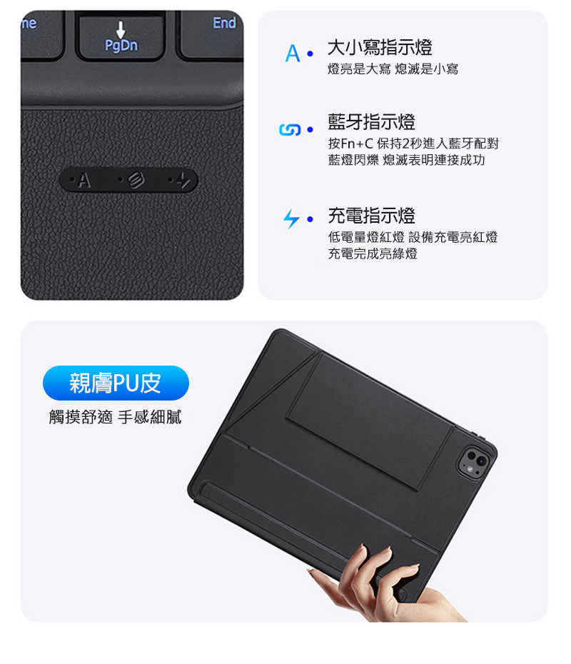 dx-ap-ipp11y24-dkbs-c19