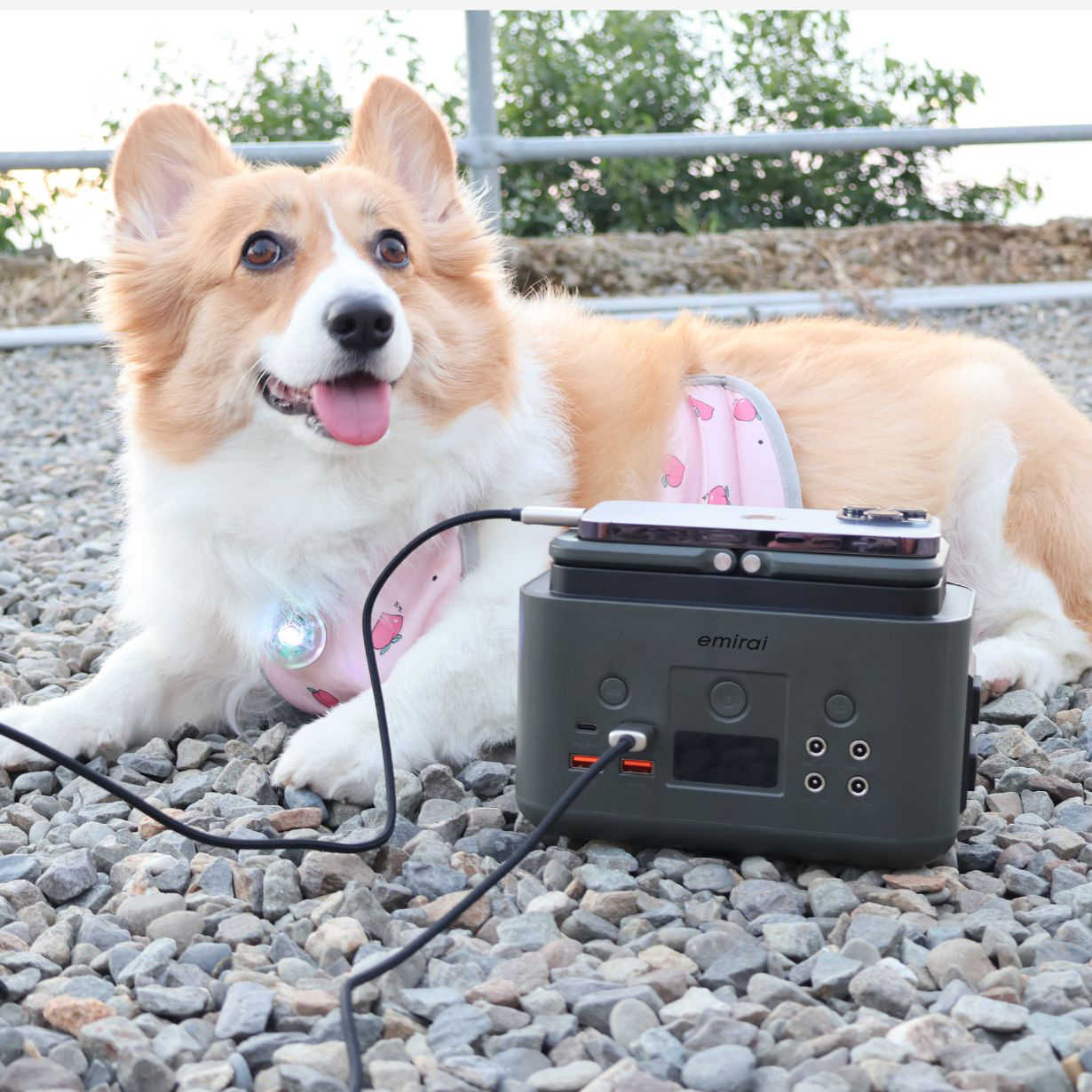 emirai 儲能小瓦力 200Wh（EMR310）