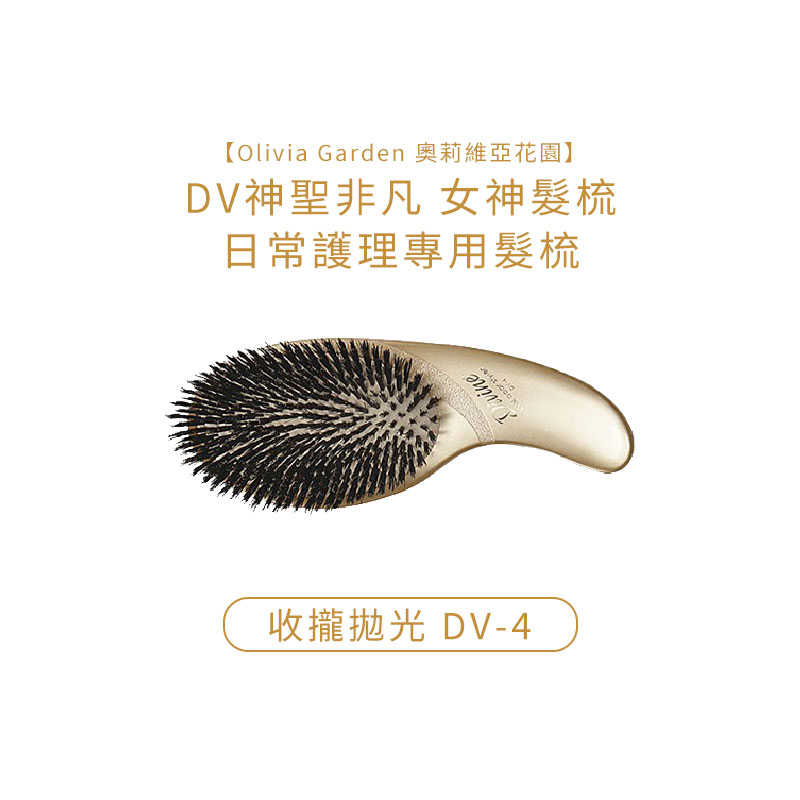 👑六星美國沙龍👑Olivia Garden 奧莉維亞花園 DV神聖非凡 女神髮梳 日常護理專用髮梳 各尺寸 梳子 公司貨