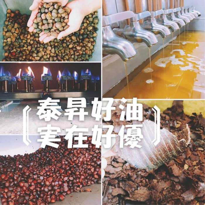 【國家食品檢驗保證 選好油 用心把關】泰昇 600ML 頂級苦茶油 台灣食安檢驗全數通過