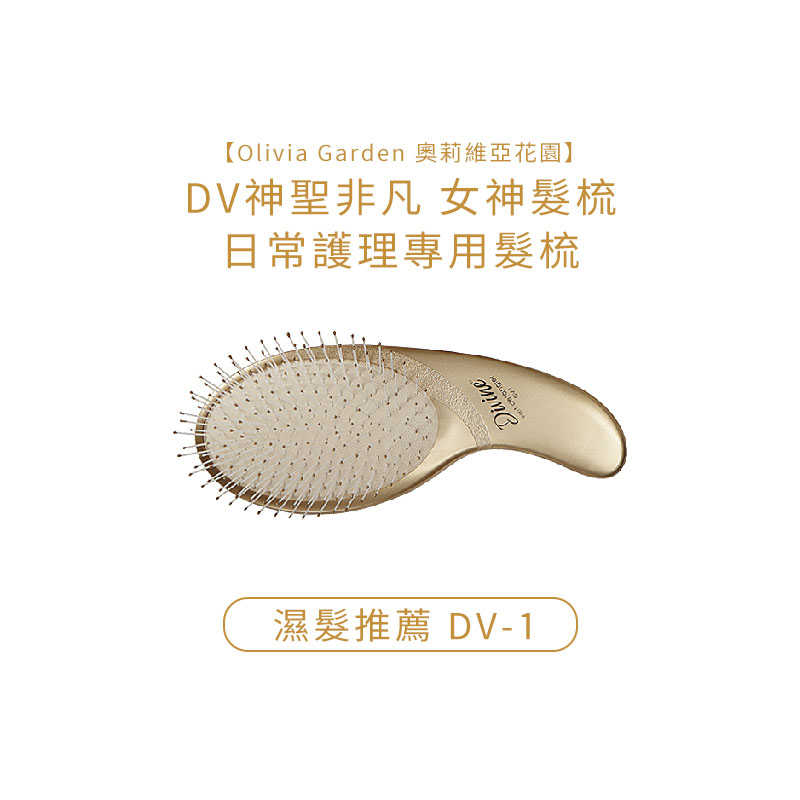 👑六星美國沙龍👑Olivia Garden 奧莉維亞花園 DV神聖非凡 女神髮梳 日常護理專用髮梳 各尺寸 梳子 公司貨