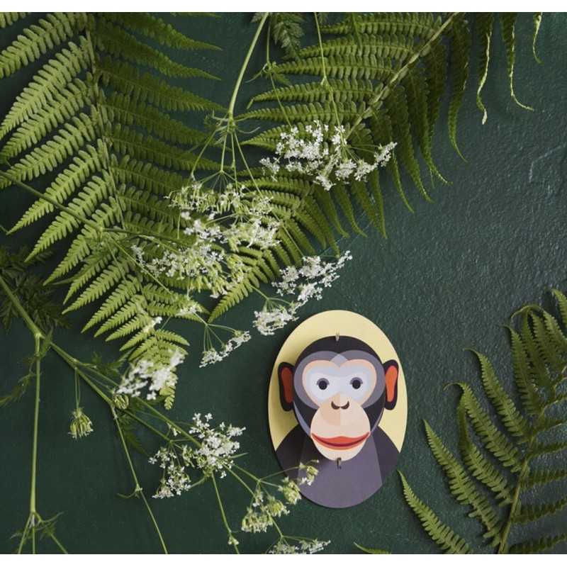 強強滾-studio ROOF 圓圓小猴子