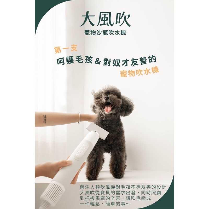 強強滾生活 uah有哈 大風吹-寵物沙龍吹水機/吹風機 110V 低噪音