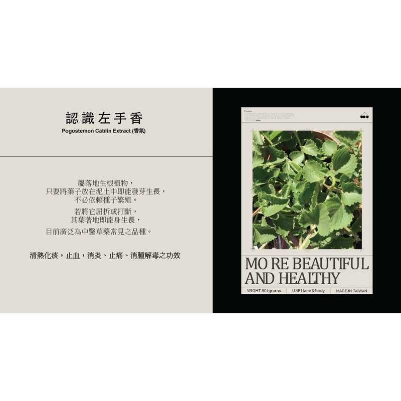 強強滾-BF超細泡泡魔皂(左手香)