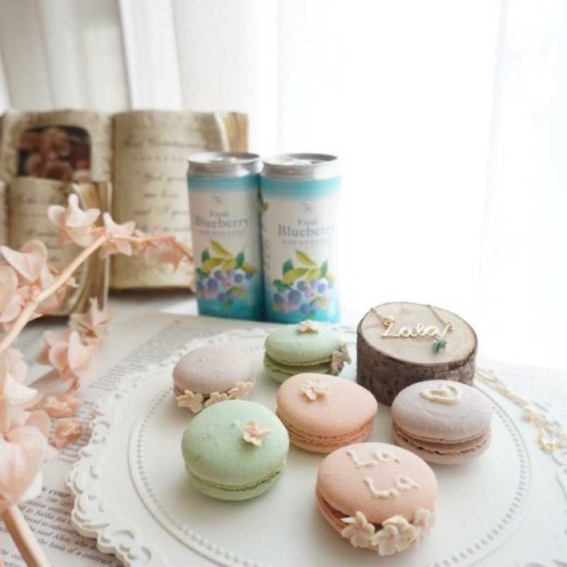 強強滾-AricAir 愛瑞雅 藍莓沙瓦氣泡飲 330ml/24瓶/箱