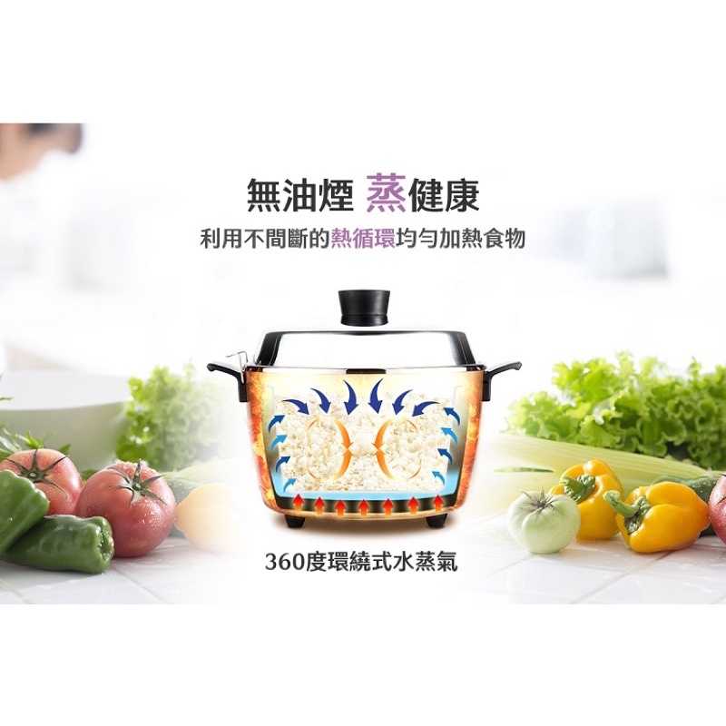 強強滾生活 【TATUNG 大同】10人份蓮藕紫不銹鋼電鍋(TAC-10L-MCU)