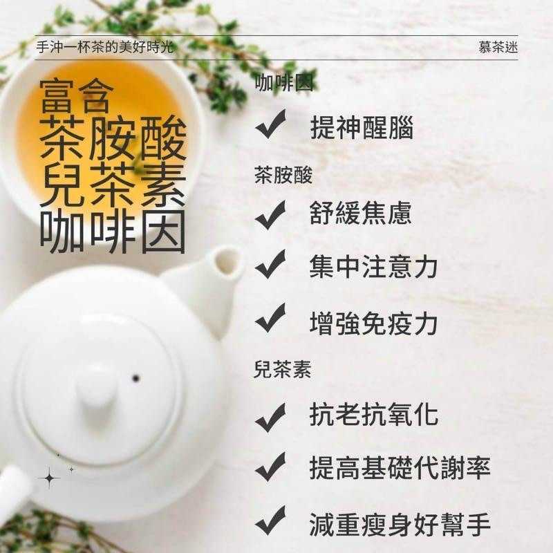 強強滾-慕茶迷-嚴選高山茶濾掛式茶包