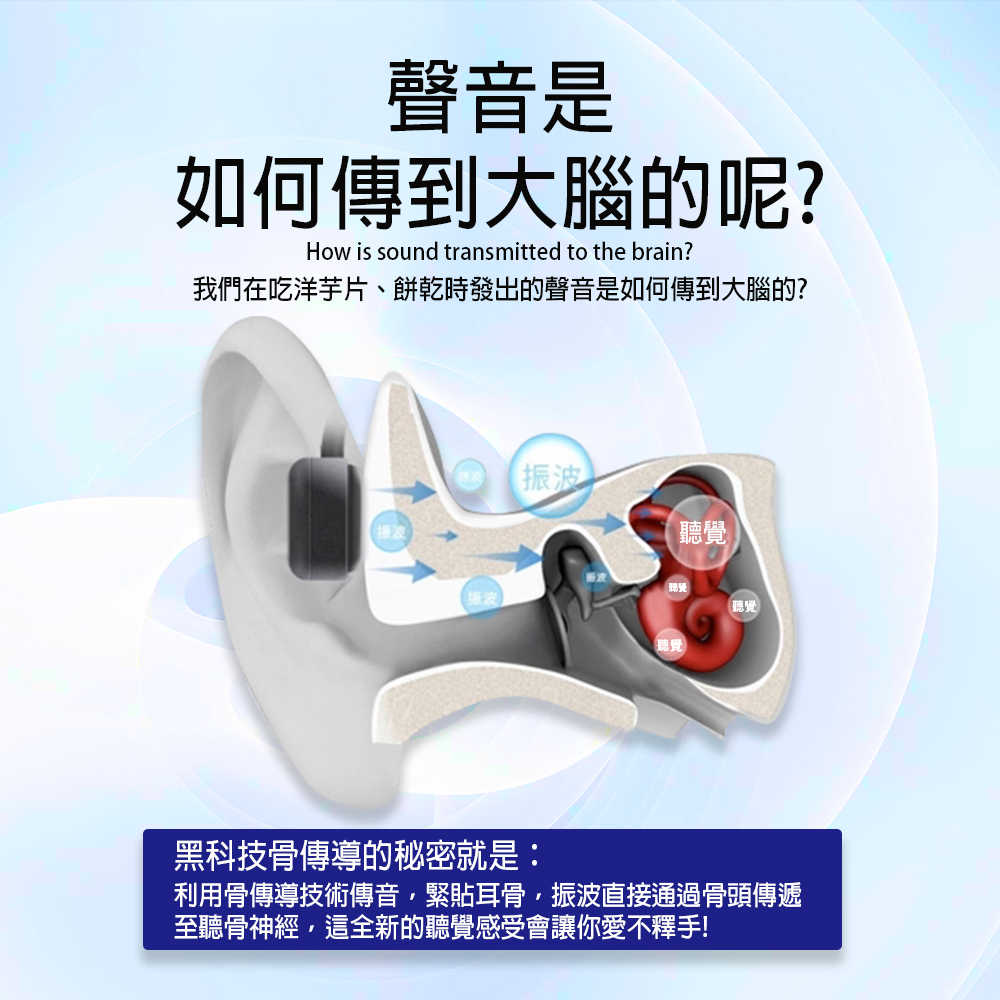 product_48342267_o_5