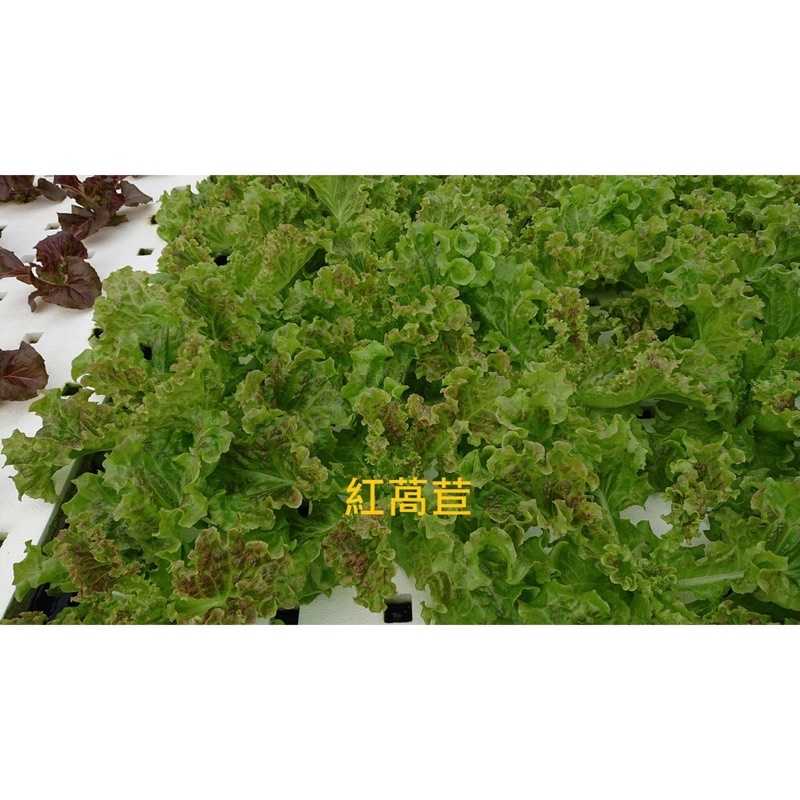 0ec223238a500abb184563f0c03cf796