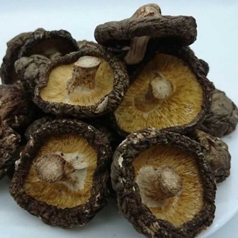 5ebd664e8008a0e4c1a6d447a260addd