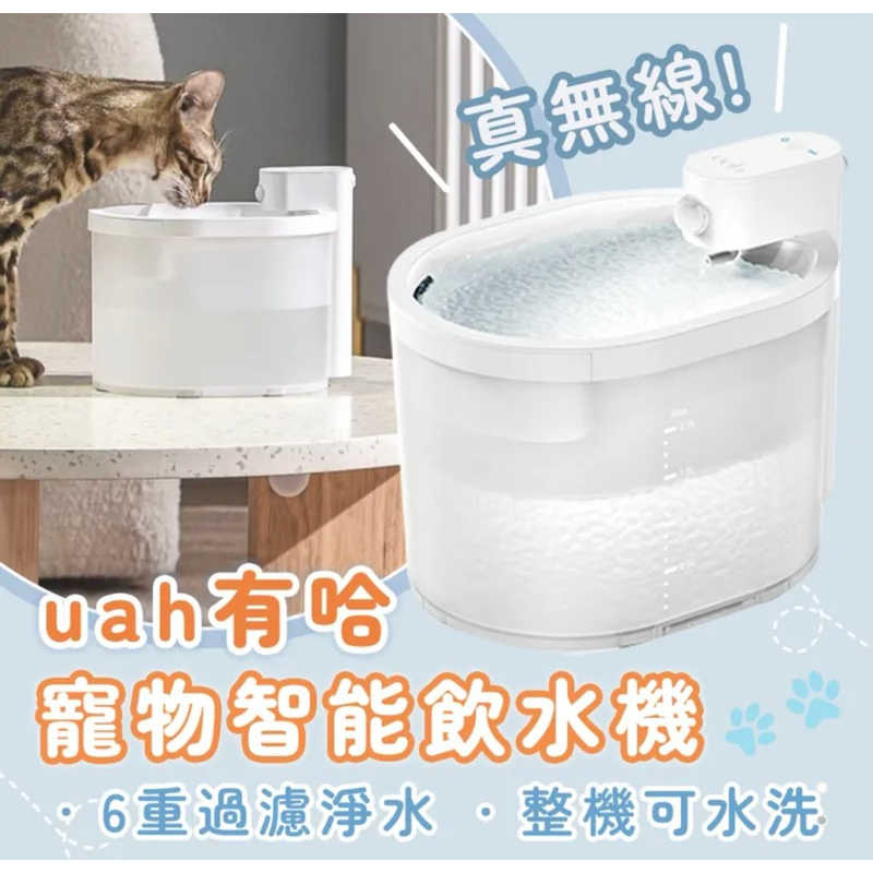 tw-11134207-7r98u-lmew7p4vaqah39