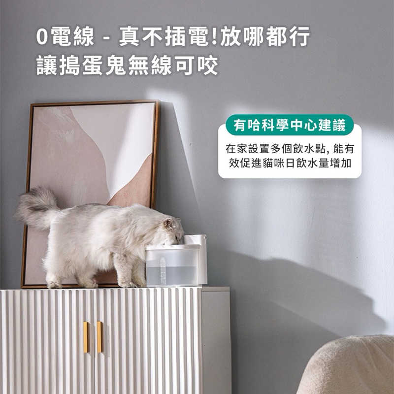 tw-11134207-7r98p-lmewcre2jst571