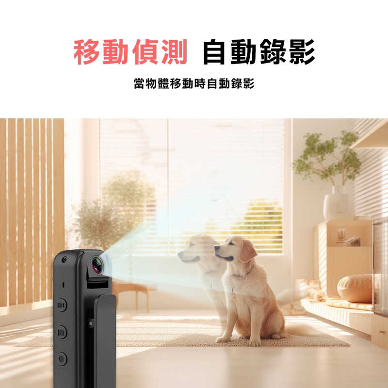 tw-11134207-7r98o-lkuizfrs67lge6