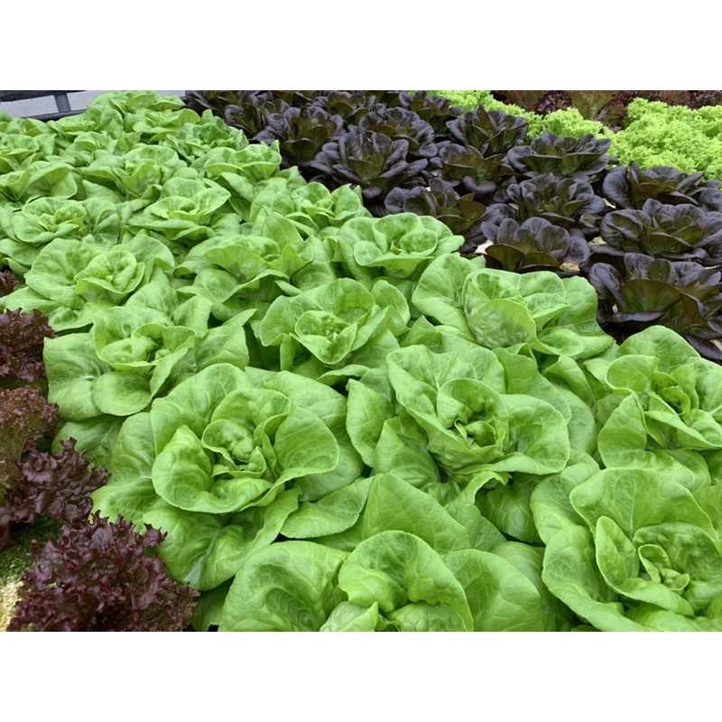 dcd23679d3197d6c7b0b0973f31c0512