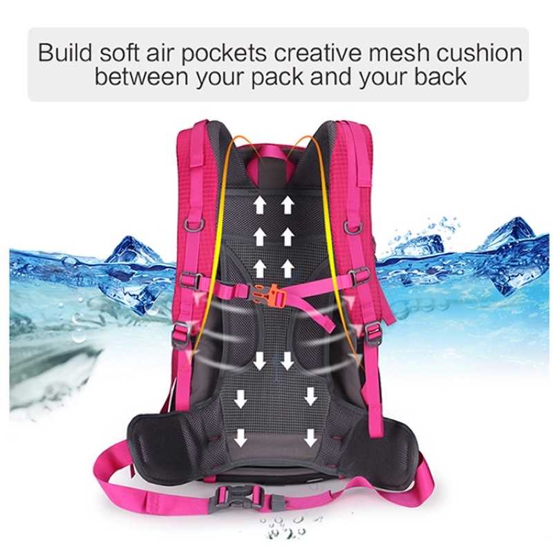 533dafc72308dfdf2dcd77dd72e5575f