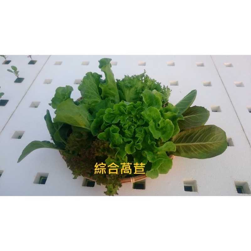 9a0704273a3a4ad0016500d31cb33ddb