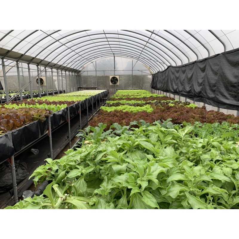 4227cb68e0147cf15649b634a4079c91