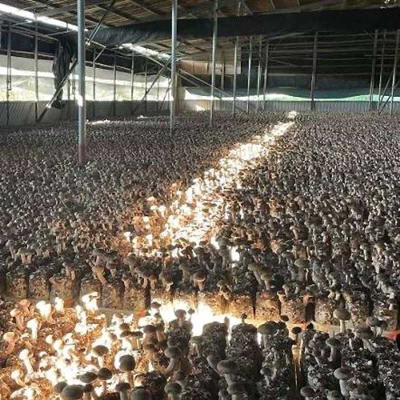 e3bf68b8bf24440b8098ddb90cd4792d