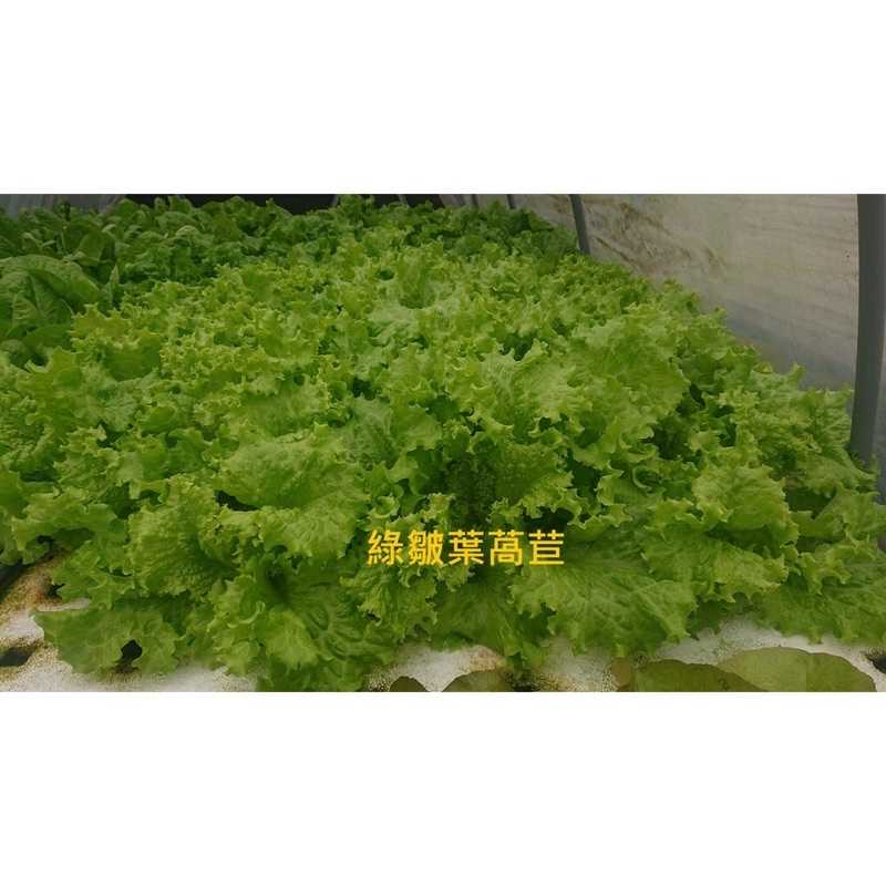 19bc13251afaba0b72826870630a8f8c