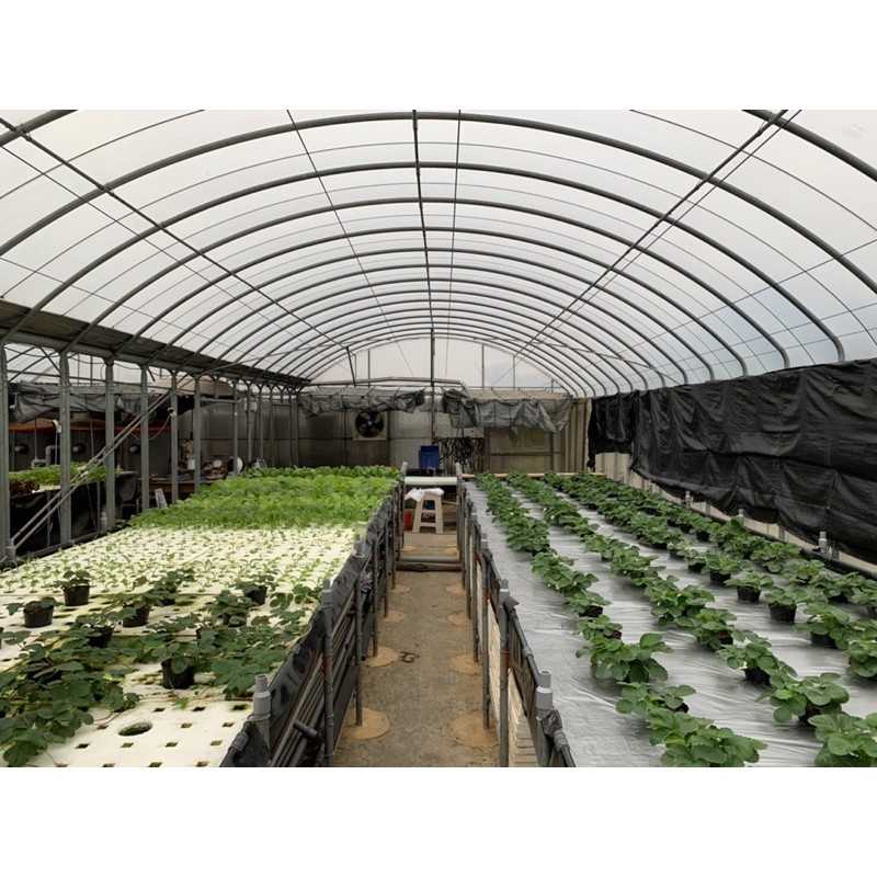 f33308c4546c9f09a7875df6d77048d5