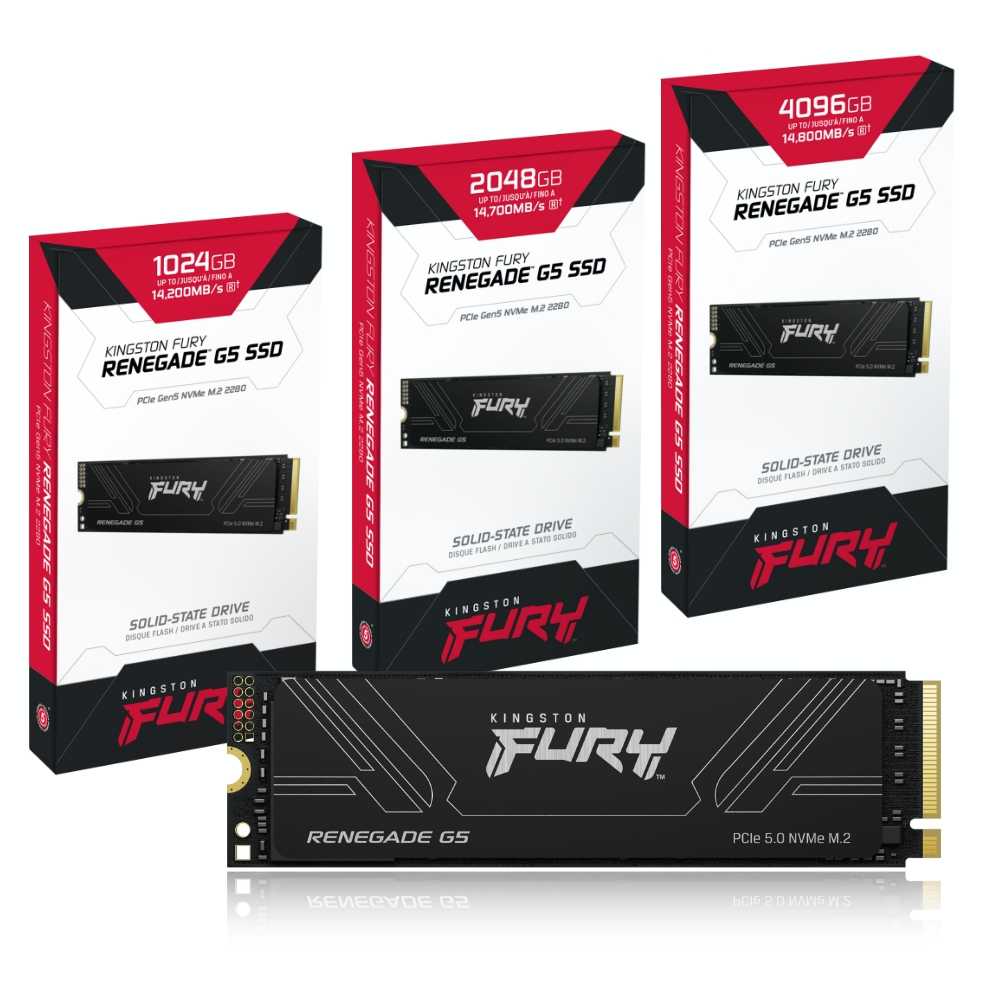 金士頓 1TB 2TB 4TB FURY Renegade G5 PCIe 5.0 NVMe M.2 SSD 固態硬碟
