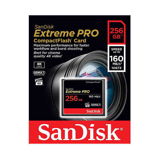 SANDISK 256G Extreme Pro CF 160M 記憶卡 專業攝影師和錄影師 高速記憶卡