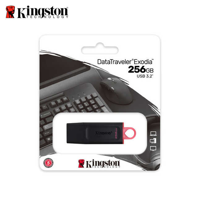 Kingston 金士頓 DTX DataTraveler Exodia 256G USB 3.2 Gen1 隨身碟