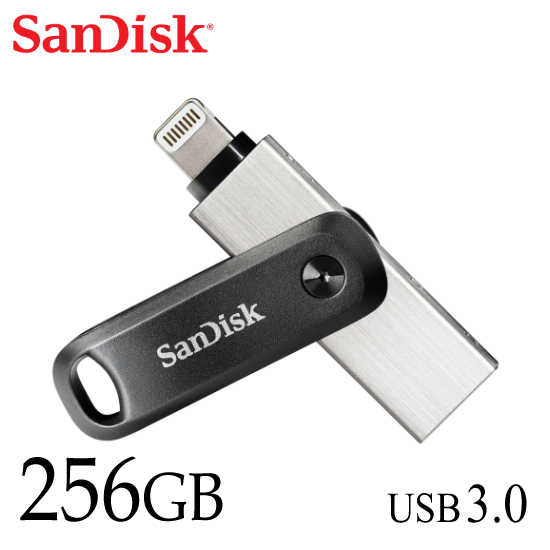 SANDISK iXpand Go 隨身碟 iPhone/iPad適用 儲存裝置 OTG 256G