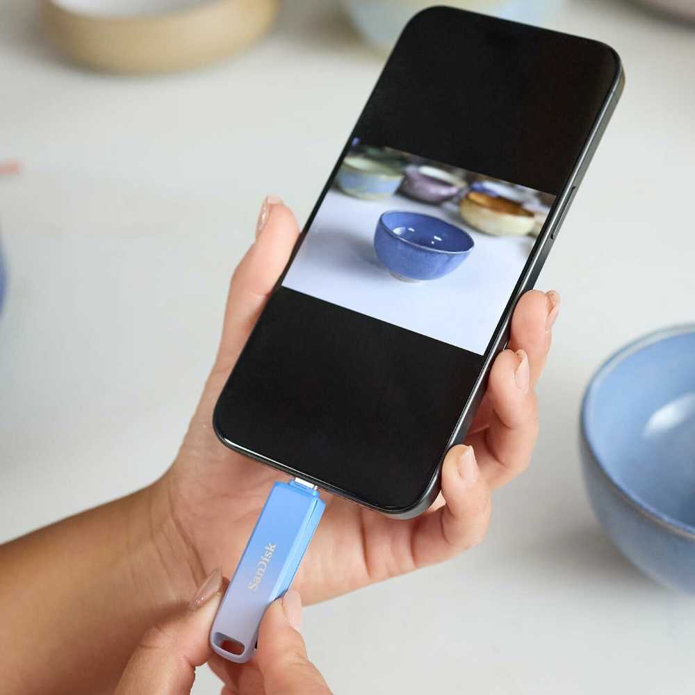 SanDisk Creator Phone Drive 256G 蘋果 安卓 Type-C OTG 旋轉 隨身碟