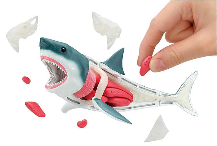 MegaHouse 桌遊 自然科學系列 大白鯊 鯊魚趣味拼圖 【鯊玩具】