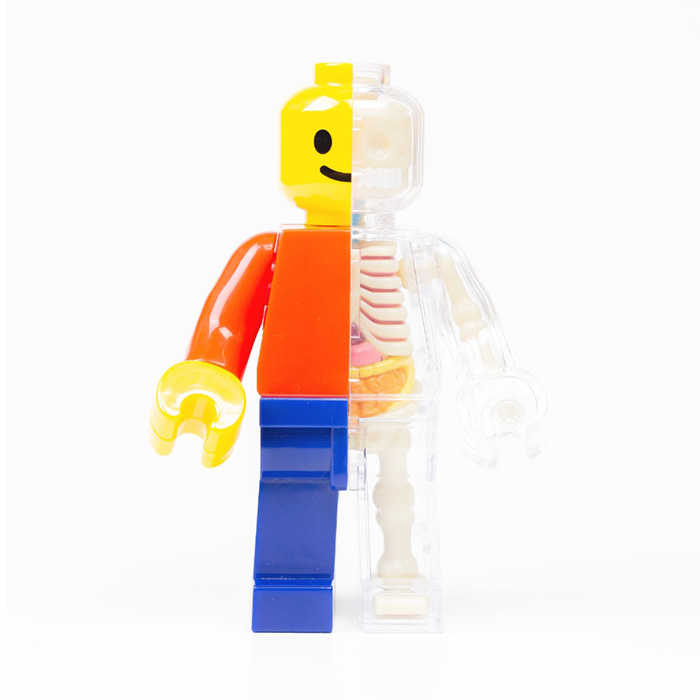 4D MASTER Brick Man 解剖公仔 積木人偶 基本色 【鯊玩具Toy Shark】