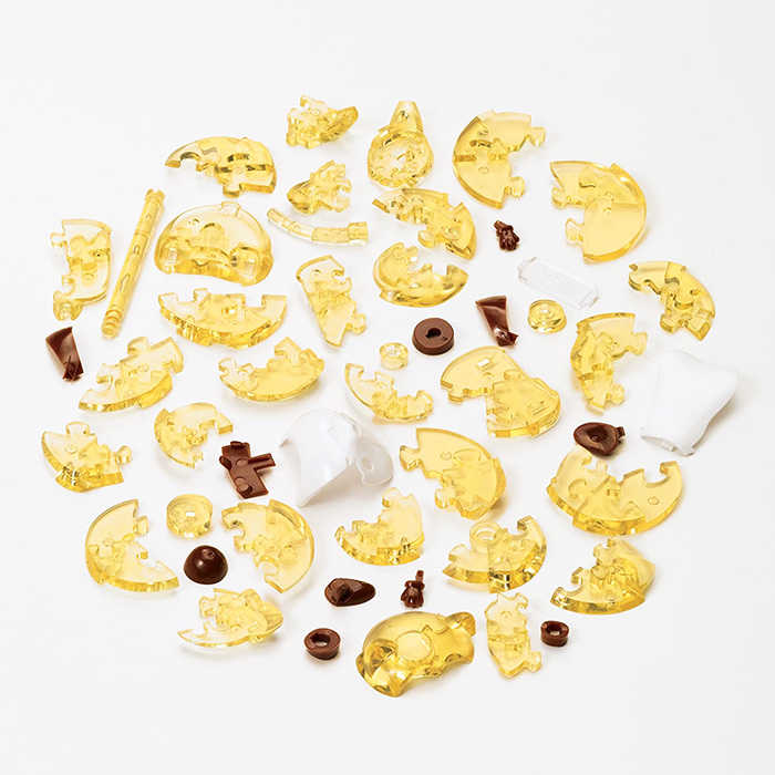 BEVERLY 透明立體拼圖 小浣熊 拉斯卡爾 48片 【鯊玩具Toy Shark】