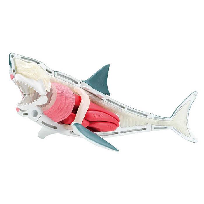 MegaHouse 桌遊 自然科學系列 大白鯊 鯊魚趣味拼圖 【鯊玩具】