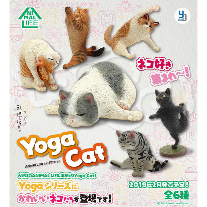 帶品 動物生活 瑜珈貓 