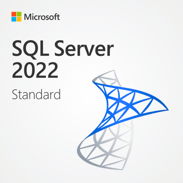 Microsoft SQL Server 2022 2019 2016 Standard 資料庫 標準版 ESD 下載版