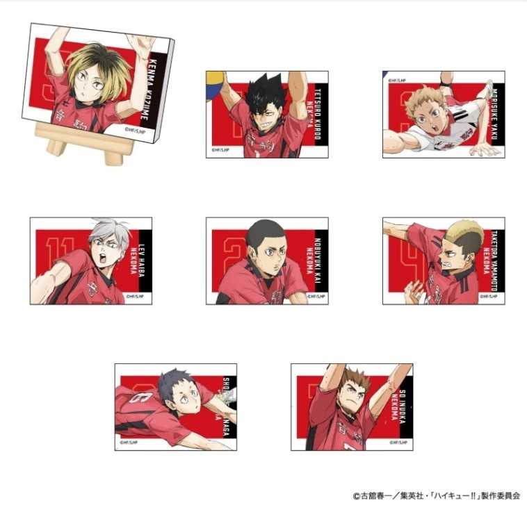 【CC TOYS】現貨 日版 排球少年 垃圾場的決戰 迷你帆布畫 VOL.2 音駒高校 （隨機1包）
