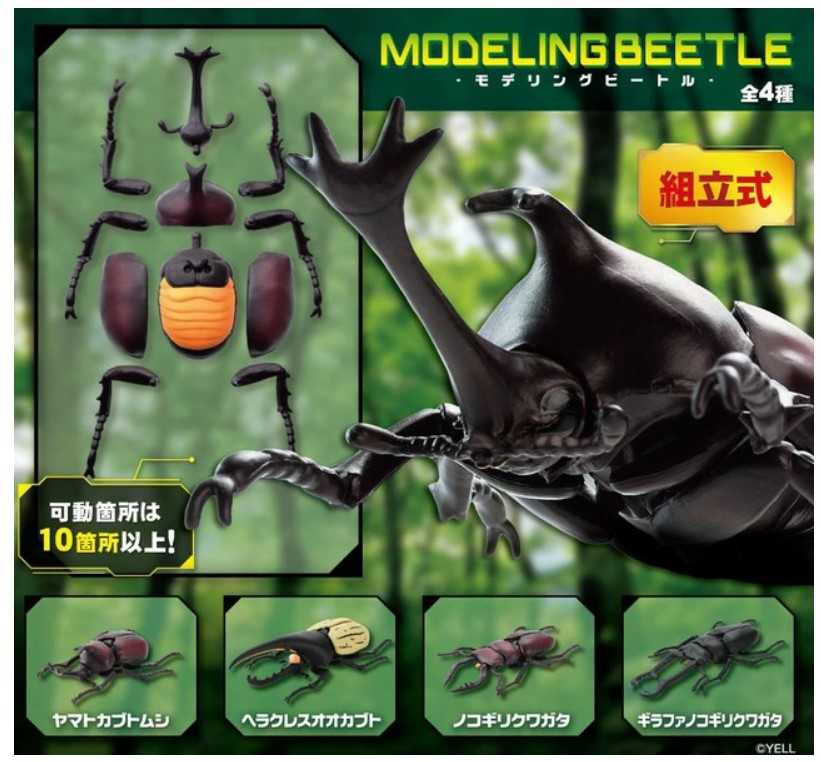 【CC TOYS】現貨 全新 日版 Yell 盒玩 組立式 甲蟲模型（全4種）（隨機1包）