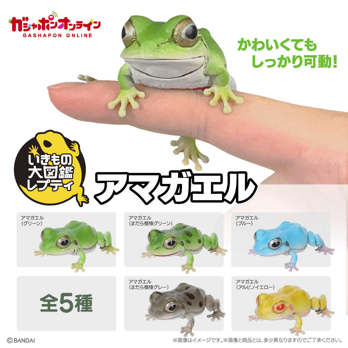 【CC TOYS】8月 預購 日版 萬代 轉蛋 扭蛋 生物大圖鑑 Repti 東北雨蛙（全5種）