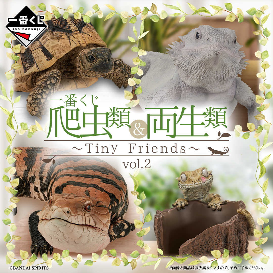 【一番くじ】爬虫類＆両生類～Tiny Friends～vol.2 Ｃ賞Ｅ賞セット 一番くじ 爬虫類＆両生類 ～TinyFriends～vol.2 A賞 - メルカリ