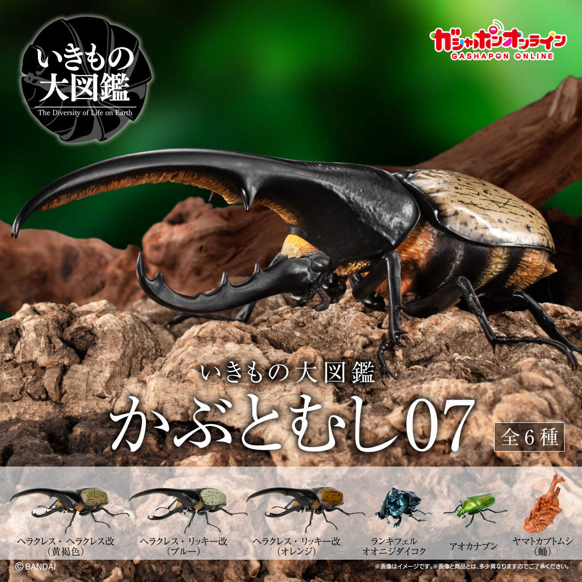 【CC TOYS】8月 預購 日版 萬代 轉蛋 扭蛋 生物大圖鑑 獨角仙 07（全6種）