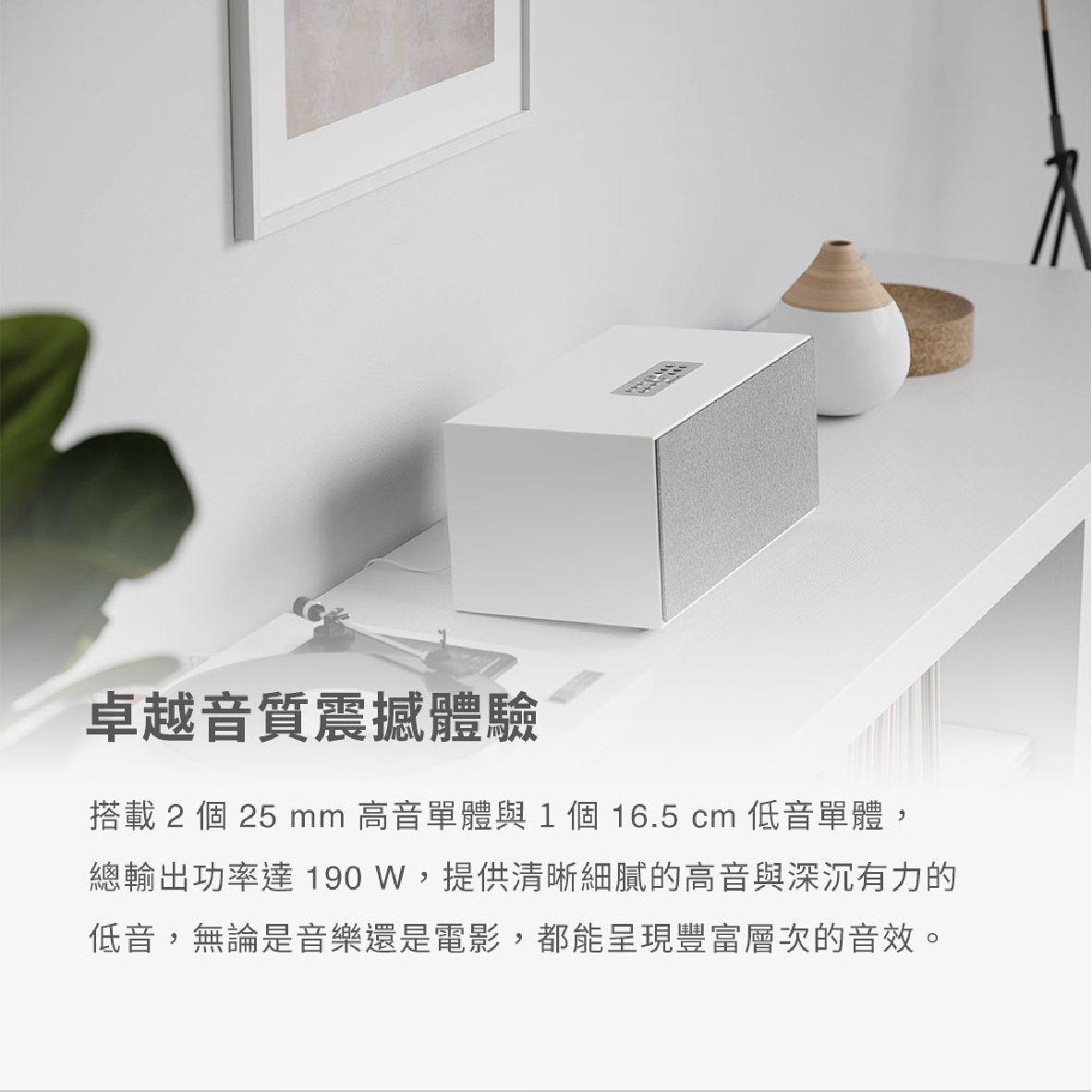 Audio Pro C20 WiFi_info - 4