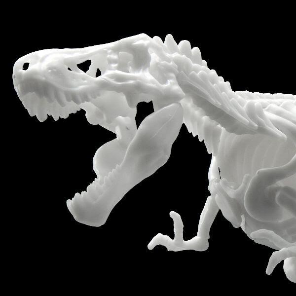 《豬帽子》現貨 代理版 BANDAI 組裝模型 LIMEX骨骼 恐龍組裝模型 暴龍
