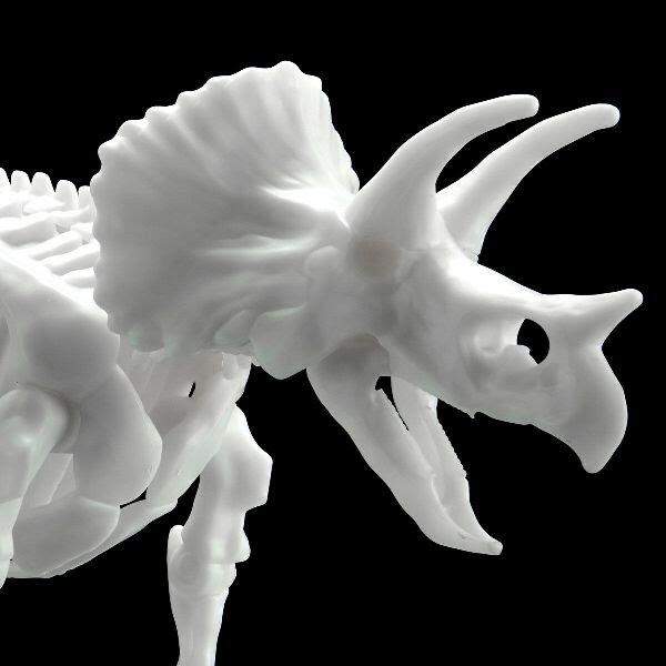 《豬帽子》現貨 代理版 BANDAI 組裝模型 LIMEX骨骼 恐龍組裝模型 三角龍
