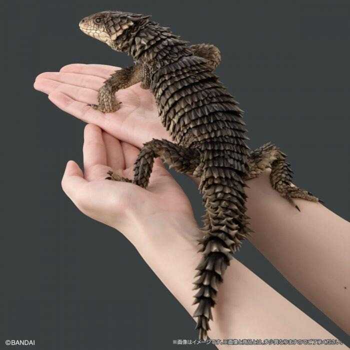 《豬帽子✬免訂金》預購11月 萬代 盒玩 生物大圖鑑 巨型環尾蜥 0817